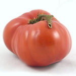 Picture: Tomato Sweet Adelaide (courtesy Bunny Hop Seeds)