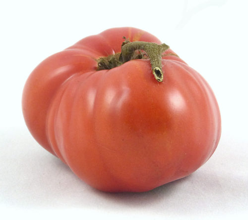 Picture: Tomato Sweet Adelaide (courtesy Bunny Hop Seeds)
