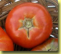 Picture: Tomato Thessalonik