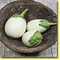 Picture: Japanese White Egg