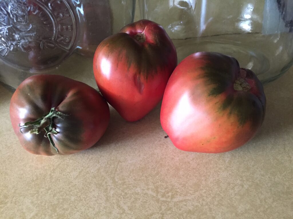 Tomato Tomato Dwarf Purple Heart #1