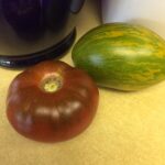 Picture Tomato Dwarf Saucy Mary and Chocolate Champion