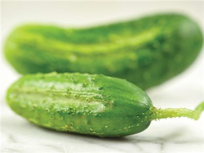 Early Fortune Cucumber Seeds