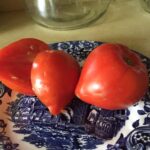 Picture Tomato Dwarf Scarlet Heart #1