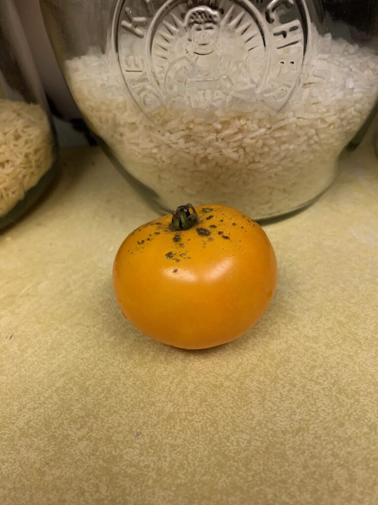 Tomato Dirty Little Chicken (my pic)