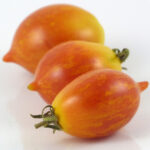 Tomato Fuzzy Wuzzy (courtesy Heritage Seed Market)