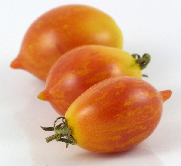 Tomato Fuzzy Wuzzy (courtesy Heritage Seed Market)