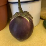 Eggplant Kamo #2 (my pic)