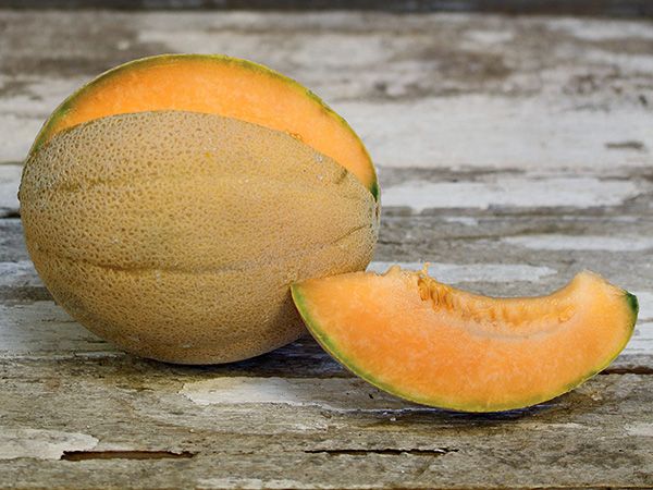 Melon Sweet Passion (courtesy Baker Creek)