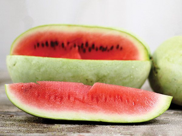Watermelon Ali Baba (courtesy Baker Creek)