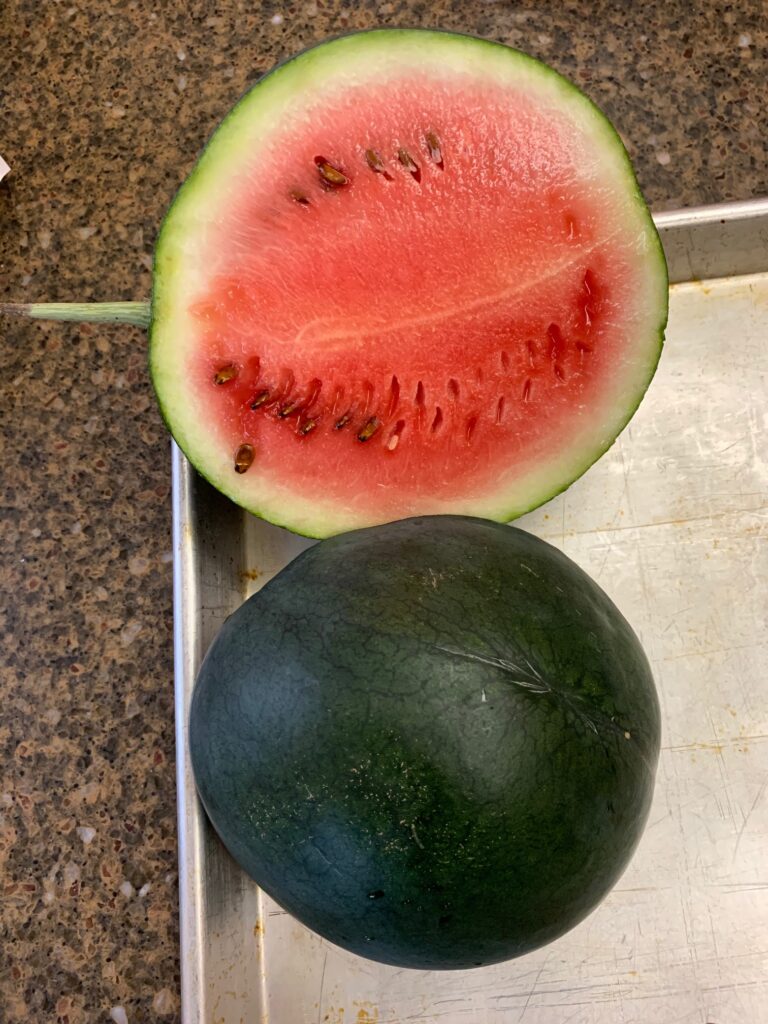 Watermelon Sugar Baby cut (my pic)