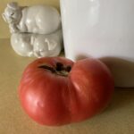 Tomato Greek Rose (my pic)