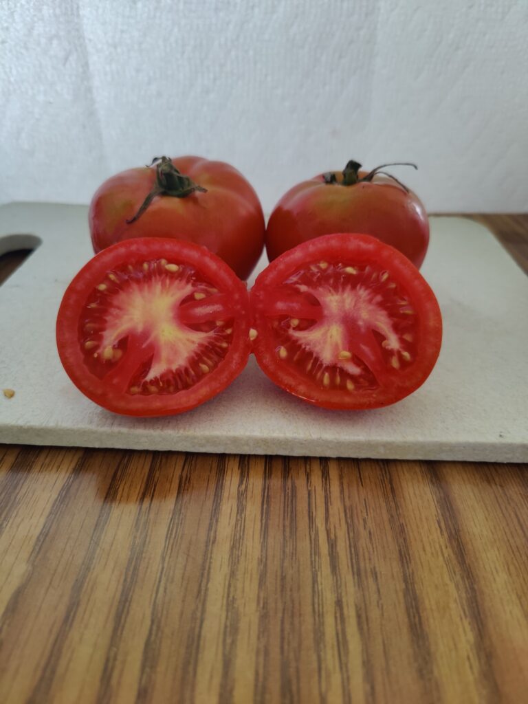Tomatoes – Contrary Mary's Plants and Designs