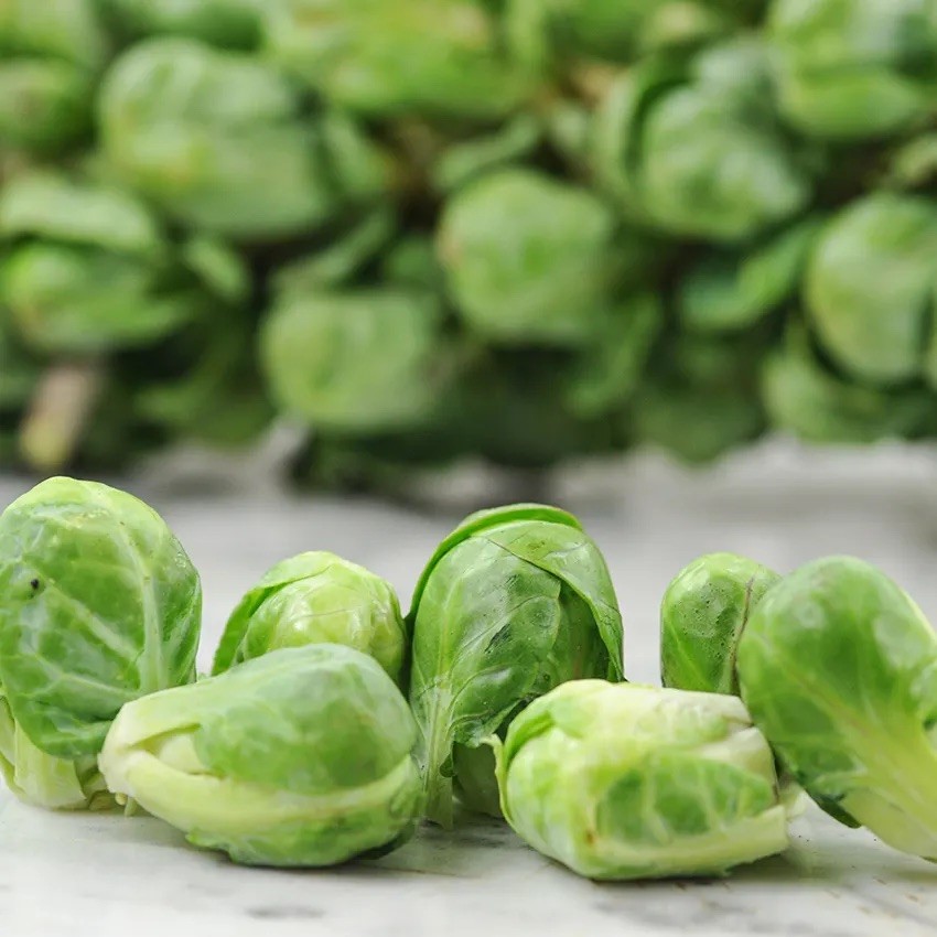 Brussel Sprouts Long Island