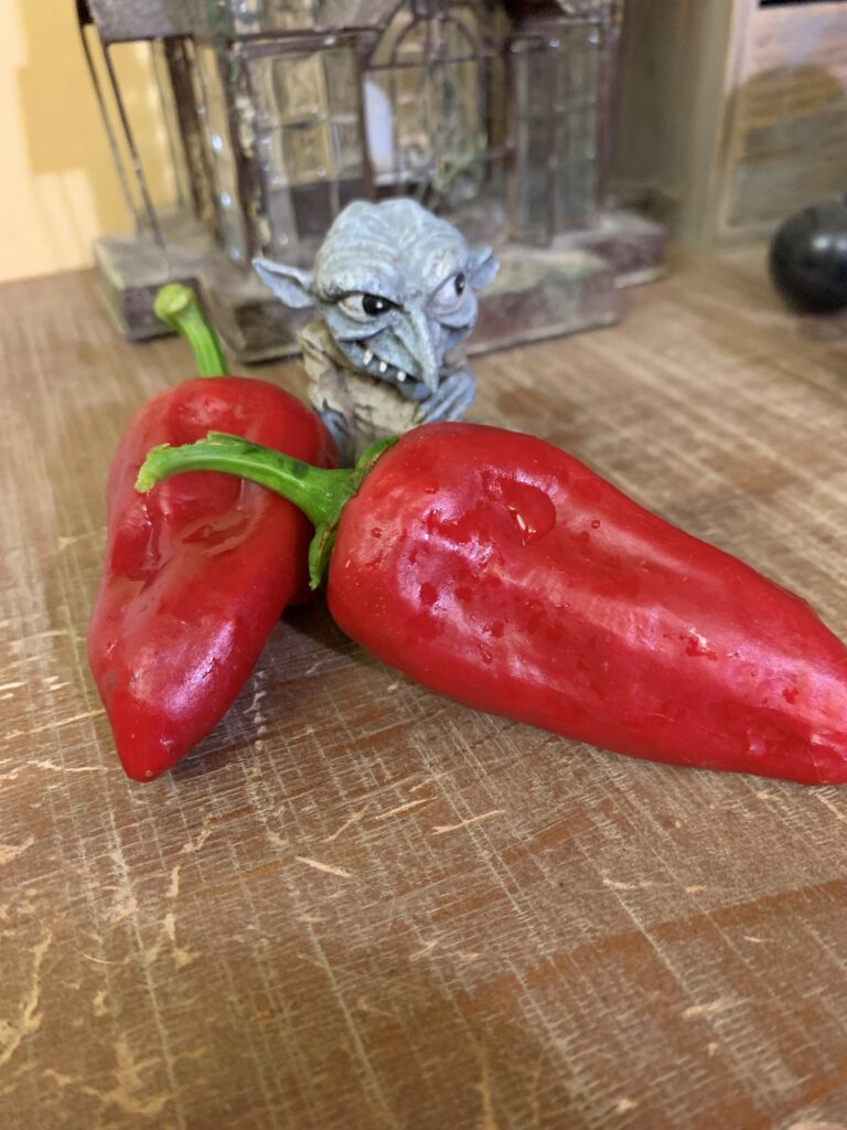 Pepper Leutschauer Paprika 2
