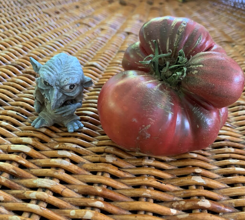 Tomato Not Purple Strawberry