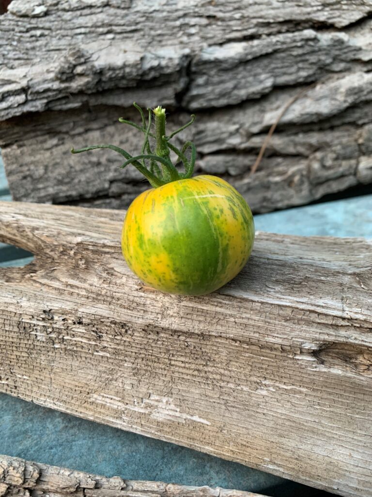 Tomato Pineapple Pig