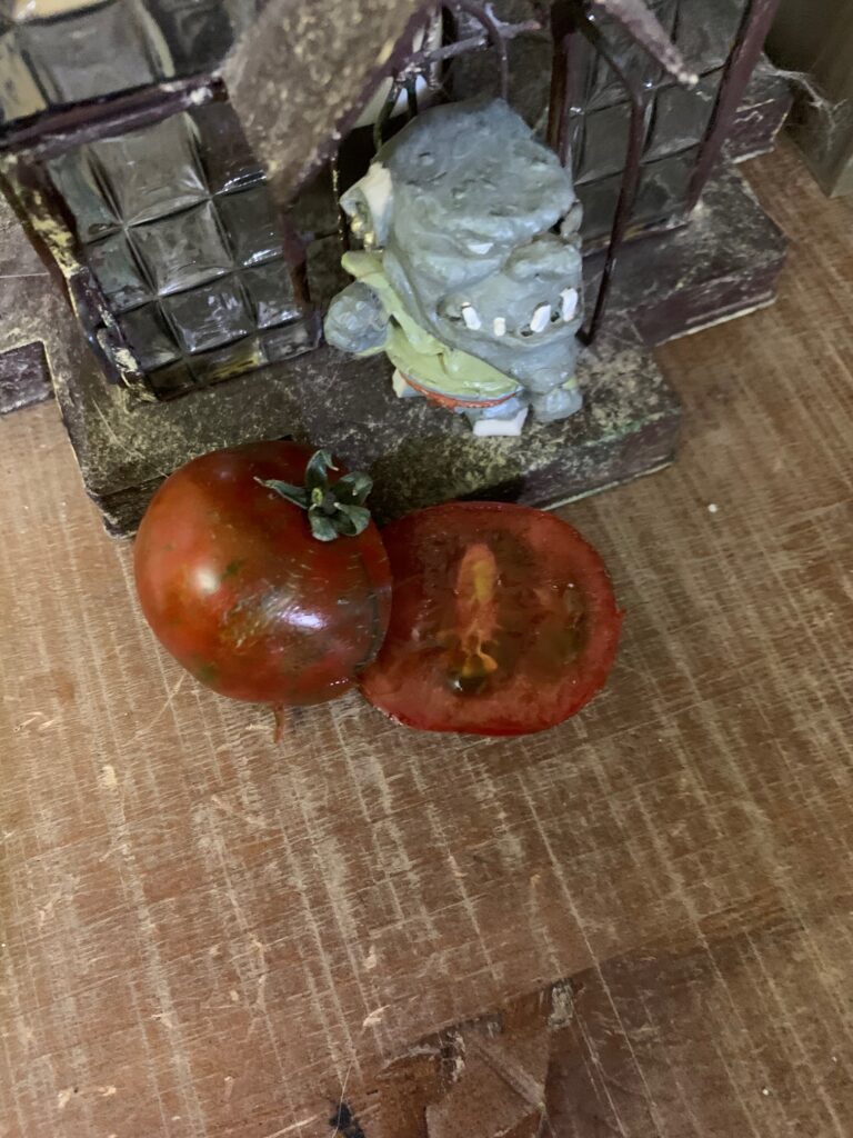 Tomato Sarandipity 2